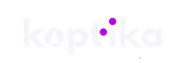diseño web para ópticas