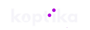 diseño web para ópticas