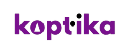 diseño web para ópticas y marketing digital (312 x 150 px) (250 x 100 px)